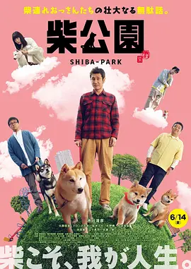 眼馋的胸部