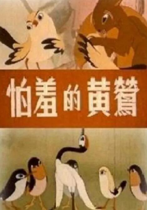 日韩伦理视频