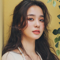 在线观看的网站
