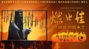 国产啪精品视频网给免丝袜